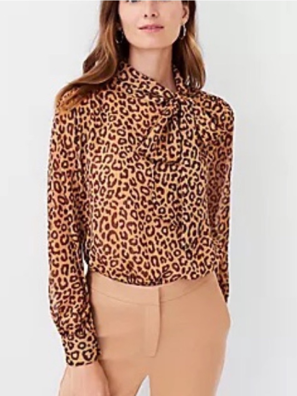 Ann Taylor Shimmer Leopard Print Blouse Neck Tie Wine Shadow Size Small